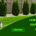 Lawn cutter suppliers in Delhi is dawn harvest